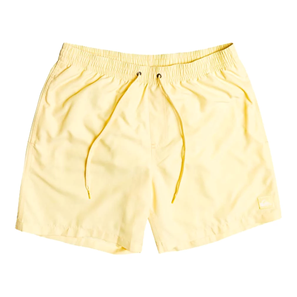 Quiksilver Everyday 17 Volley Swim Shorts